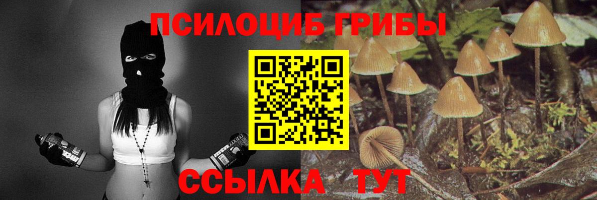 Галлюциногенные грибы GOLDEN TEACHER Тверь